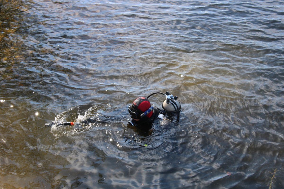 Водолаз на поверхности воды